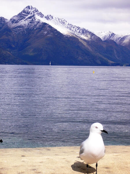 Grow Your Revenue | FaBuTX Consulting